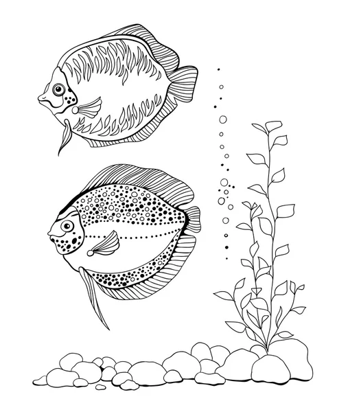 Handgezeichnete Fische — Stockvektor