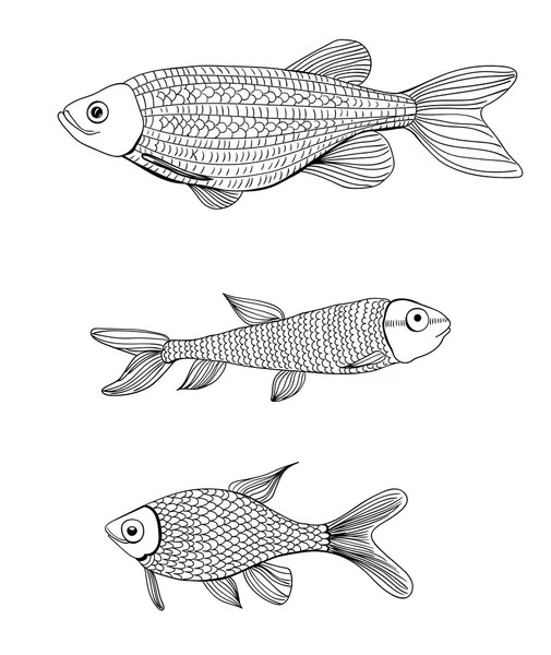 Peixes desenhados à mão — Vetor de Stock