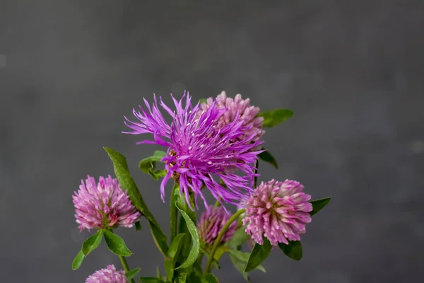 Bukett Lila Blommor Gul Vas Mörk Bakgrund Höstens Sammansättning Med — Stockfoto