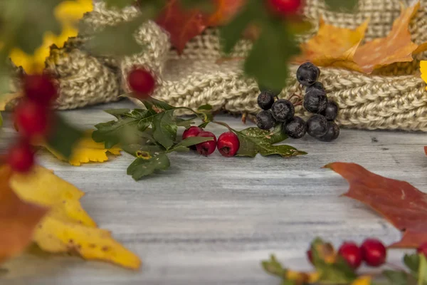 Autumn background. Decor of hawthorn berries, mountain ash berries and leaves on a painted wooden surface. Autumn composition for a postcard or banner.