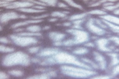 Gölgeler oyunu. Kardaki gölgeler kalıplar şeklinde. Gölgelerin arkaplanı.