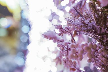 Noel ve Yeni Yıl tatili geçmişi. Kardaki bir Noel ağacının yakın plan parlak ışıklarla çevrelenmiş hali. Kar yağışıName