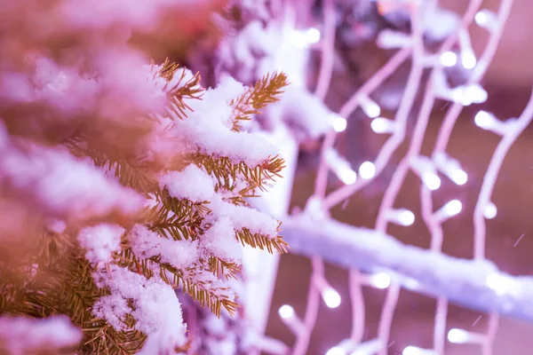 Karácsony Újév Ünnep Háttér Közelkép Egy Karácsonyfa Hóban Hátterében Fényes — Stock Fotó
