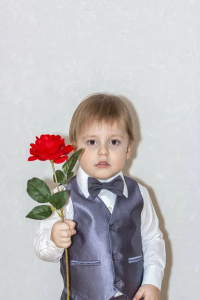 一个小男孩握住并递给了一朵红玫瑰 这就是情人节的主题 一个穿着西装 打着领结的可爱男孩的画像 情人节 — 图库照片
