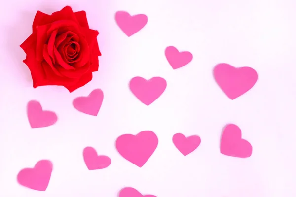 Rose Rouge Sur Fond Rose Modèle Concept Thème Saint Valentin — Photo