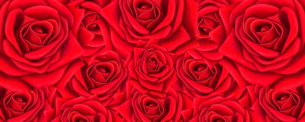 Hermoso Fondo Rojo Para Postales Obras Gráficas Rosas Brillantes Sobre — Foto de Stock