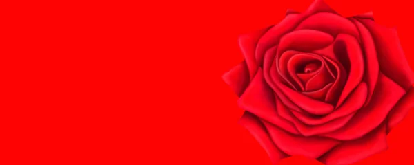 Schöner Roter Hintergrund Für Postkarten Und Grafiken Leuchtende Rosen Auf — Stockfoto