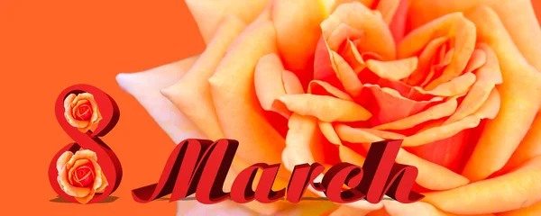 Ein Banner Mit Frühlingskonzept Die Inschrift März Gelb Orange Rosen — Stockfoto