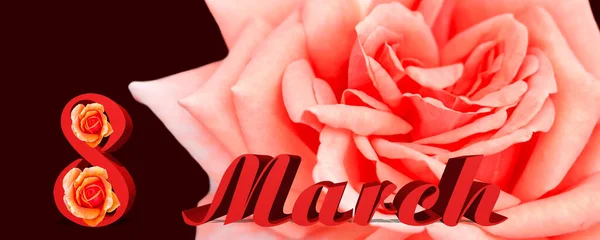 带有春天概念的横幅 3月8日的题词 橙色玫瑰 给女人的明信片 — 图库照片