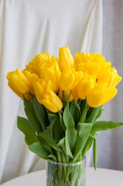 Bir buket sarı lale. Yakından bir buket taze lale. İç kısımda bahar çiçekleri var. Bahar ya da tatil konsepti, 8 Mart, Uluslararası Kadınlar Günü, doğum günü. 