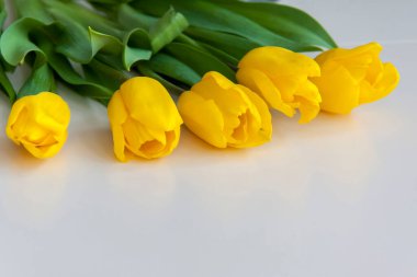 Açık arkaplanda bir buket taze sarı lale. İç kısımda bahar çiçekleri var. Bahar ya da tatil konsepti, 8 Mart, Uluslararası Kadınlar Günü, doğum günü.