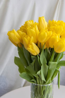 Açık arkaplanda bir buket taze sarı lale. İç kısımda bahar çiçekleri var. Bahar ya da tatil konsepti, 8 Mart, Uluslararası Kadınlar Günü, doğum günü. 