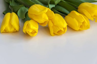 Açık arkaplanda bir buket taze sarı lale. İç kısımda bahar çiçekleri var. Bahar ya da tatil konsepti, 8 Mart, Uluslararası Kadınlar Günü, doğum günü.  