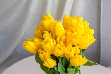 Bir buket sarı lale. Yakından bir buket taze lale. İç kısımda bahar çiçekleri var. Bahar ya da tatil konsepti, 8 Mart, Uluslararası Kadınlar Günü, doğum günü.