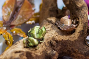 Dalda oturan gerçek bir böcek değil. Plastik böcek elle yapılır. Ev dekoru.