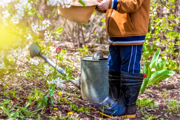 Menino Pequeno Bonito Chapéu Botas Borracha Está Regando Plantas Com — Fotografia de Stock