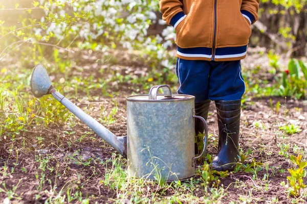 Lindo Niño Pequeño Sombrero Botas Goma Está Regando Las Plantas — Foto de Stock