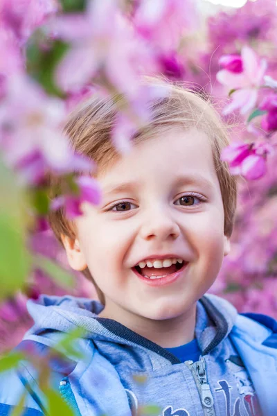 Portrait Child Pink Apple Blossoms Apple Tree Bloom Spring Flowering — Zdjęcie stockowe