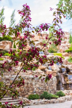 2021-05-07. - Rusya. Kamensk-Shakhtinsky, Rostov bölgesi. Parkta turistler için güzel dekorlar var. Kayaların arasında şelale. LOGA Peyzaj Parkı