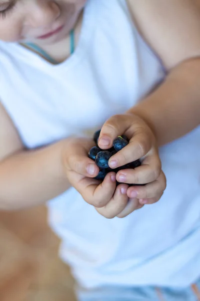 Reife Bio Blaubeeren Kinderhänden Reife Beeren Blaubeeren Den Handflächen Des — Stockfoto