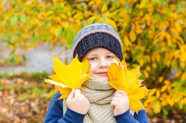 Sonbahar havası. Sarı akçaağaç yapraklarını elinde tutan bir çocuk. Örgü şapkalı bir çocuğun sonbahar portresi. Görüş. Sevimli gülümseyen çocuk. Sonbahar.
