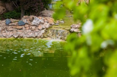 Şelalesi ve göleti olan kayalık bir arazi. - Rusya. Şelaleli doğal bir arka plan.