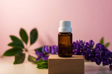 Kürsüde yağlı etiketsiz bir şişe. Bej-pembe arka planında şeker kutusu olan şeffaf cam bir kap. Ürün afişi. Metin ve tasarım için boşluk. Kozmetoloji ve güzellik kavramı 