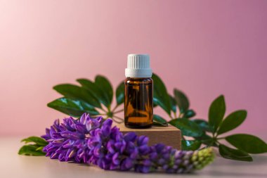 Kürsüde yağlı etiketsiz bir şişe. Bej-pembe arka planında şeker kutusu olan şeffaf cam bir kap. Ürün afişi. Metin ve tasarım için boşluk. Kozmetoloji ve güzellik kavramı 