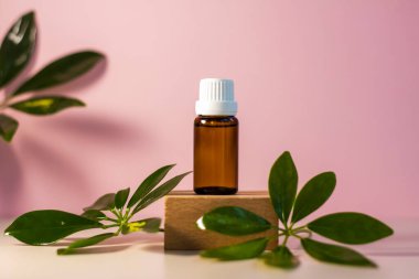 Kürsüde yağlı etiketsiz bir şişe. Bej-pembe arka planında şeker kutusu olan şeffaf cam bir kap. Ürün afişi. Metin ve tasarım için boşluk. Kozmetoloji ve güzellik kavramı 