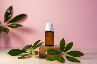 Kürsüde yağlı etiketsiz bir şişe. Bej-pembe arka planında şeker kutusu olan şeffaf cam bir kap. Ürün afişi. Metin ve tasarım için boşluk. Kozmetoloji ve güzellik kavramı 