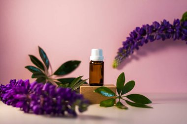 Kürsüde yağlı etiketsiz bir şişe. Bej-pembe arka planında şeker kutusu olan şeffaf cam bir kap. Ürün afişi. Metin ve tasarım için boşluk. Kozmetoloji ve güzellik kavramı 