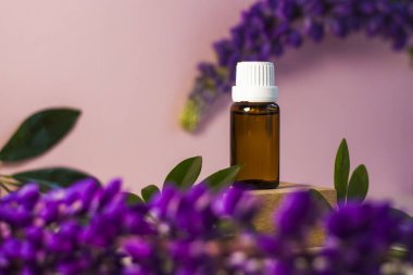 Kürsüde yağlı etiketsiz bir şişe. Bej-pembe arka planında şeker kutusu olan şeffaf cam bir kap. Ürün afişi. Metin ve tasarım için boşluk. Kozmetoloji ve güzellik kavramı 