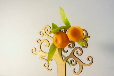 Yapay bir ağaçtaki doğal küçük mandalinalar. Doğal bir kozmetik ürünü. Ürün afişi. Metin ve tasarım için bir yer. Kozmetoloji ve güzellik kavramı