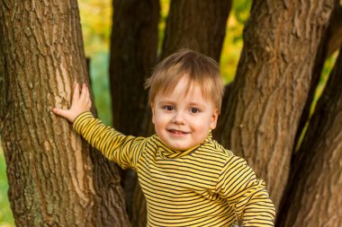 Parktaki sevimli bir çocuğun sonbahar portresi. Yürüyüşe çık, oyna ve eğlen. Duygular, neşe. Bir çocuk portresi. Sonbahar.