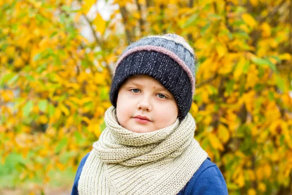 Autumn Mood Boy Poses Background Yellow Leaves Autumn Portrait Child — Stockfoto