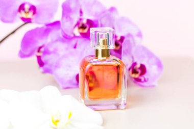 Güzel orkide çiçeklerinin etrafında pembe arka planda bir parfüm şişesi. Şık görünüş, düzen, kişilik. Banner, metin için bir yer. Bakım için kozmetik konsepti.