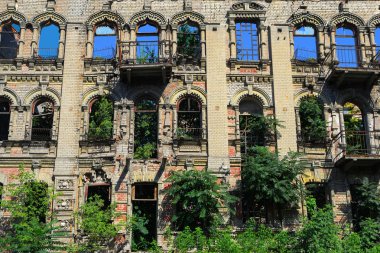 Ağaçlarına bina harap