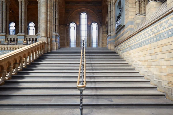 Interior del Museo de Historia Natural con antiguas escaleras en Londres — Foto de Stock