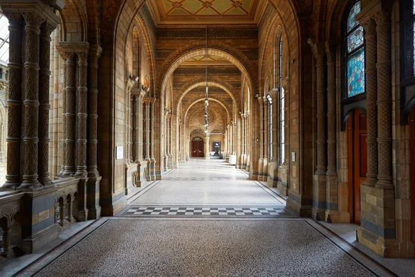 Natural History Museum ancient architecture interior, nobody in London — Stock Photo, Image