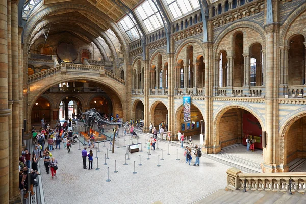Museo de Historia Natural interior con gente y turistas en Londres — Foto de Stock