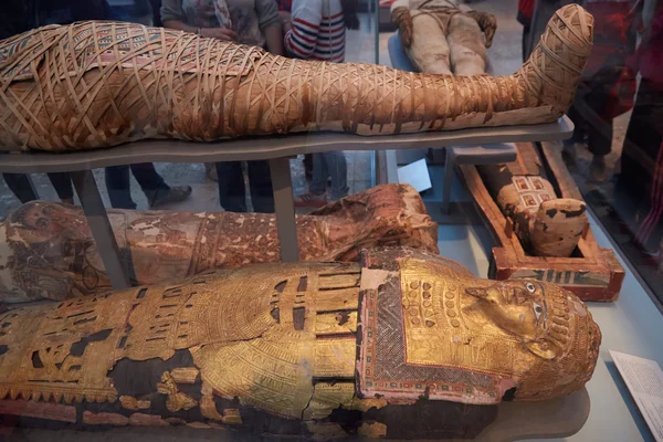 Múmias e sarcófagos no museu britânico em Londres — Fotografia de Stock