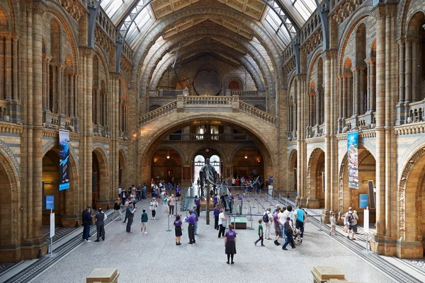 人々 とロンドンの観光客ロンドン自然史博物館内部 — ストック写真
