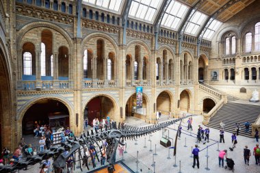 Doğal Tarih Müzesi iç Londra halkın, turistlerin ve dinozor iskeleti ile