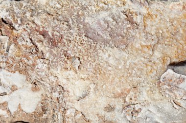 Taş bkz: doku arka plan yakınındaki tuz ile kahverengi