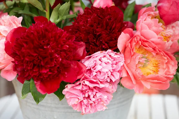 Ramo de flores de peonía en colores rojo y rosa — Foto de Stock