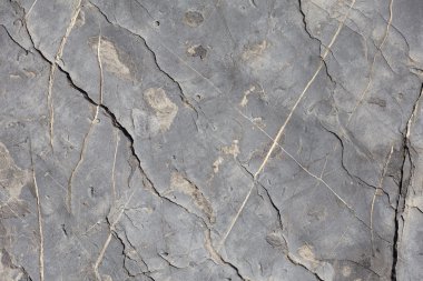 Beyaz çizgilerle düzensiz taş doku arka planı