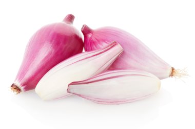 Kırmızı soğan grup, Tropea türü üzerinde beyaz