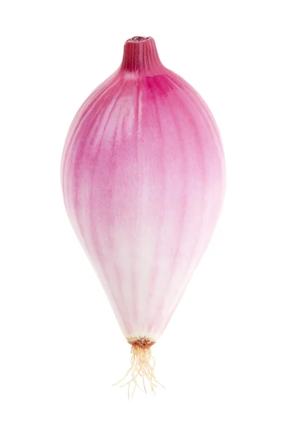 Red onion, Tropea type on white — Stock Photo, Image