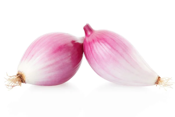 Red onions, Tropea type on white — Stock Photo, Image