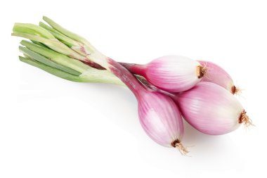 Demet kırmızı soğan, Tropea türü üzerinde beyaz, kırpma yolu